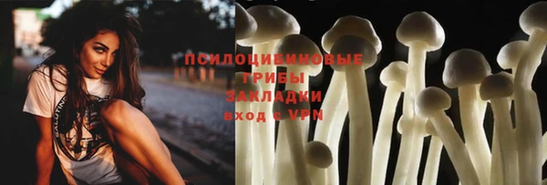 амф Новокубанск