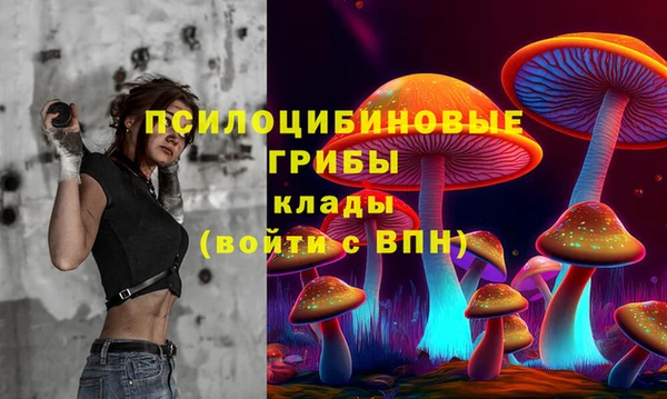 хмурый Алексин