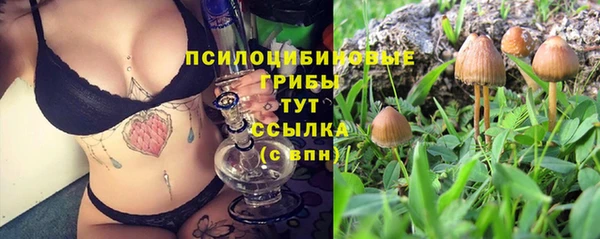 a pvp Алексеевка