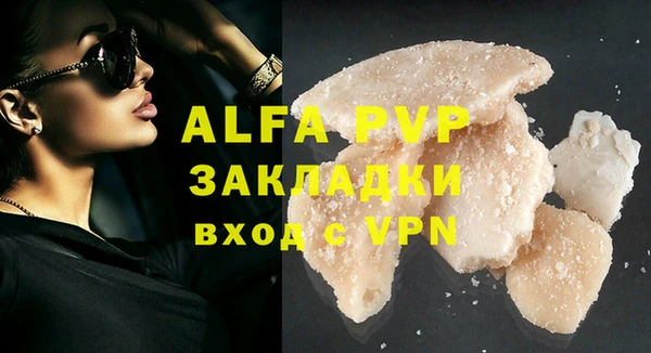 амф Новокубанск